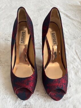 Badgley Mischka Navy and Red Floral Peep-Toe Heels